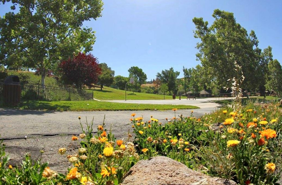 Kidztopros Moraga Summer Camp Moraga Commons Park California Kidztopros